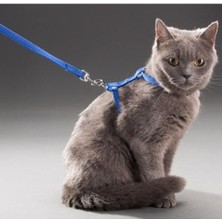 Hype Store 110 cm Vücuda Takılan Kedi Tasması, Konforlu ve Ayarlanabilir Tasarım, Güvenli Yürüyüşler Için Ideal