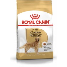 Hype Store Golden Retriever Kuru Köpek Maması, Yetişkin, 12 kg