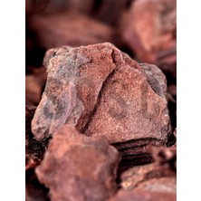 Hype Store Dekoratif Ithal Çam Kabuğu 10-20 mm 3 Litre