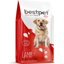 Hype Store Bestpet Yetişkin Köpekler Için, Sığır Etli ve Kuzu Etli Kuru Mama, 15 kg