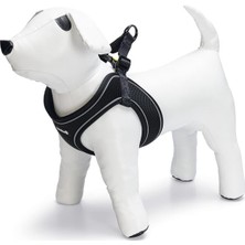 Hype Store Köpek Göğüs Tasması, Neopren, Siyah, S, 38-44CM