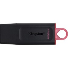 Hype Store Kingston Datatraveler Exodia 256GB USB Flash Bellek Usb3.2 Gen1 DTX/256 GB