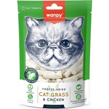 Hype Store Kedi Dondurulmuş Kedi Çimi ve Tavuklu Ödül 20G