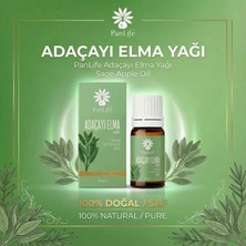 Panlife Panlıfe Adaçayı ( Elma ) Yağı 10 ml %100 Saf -Analiz Sertifikalı -Aromaterapi ve Ritüel Kullanım- ( Markamız Eczacı Kuruluşudur.)