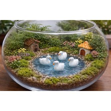  kuğu  teraryum sukulent diorama minyatür sahne dekoru