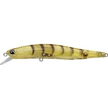 SHC4200 Duo Realis Minnow 80SP CCC0312 Gold Shrimp Suni Yem