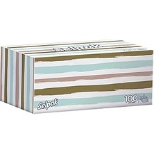 SHC4200 Selpak Maksi Kutu Mendil 100'LÜ