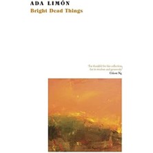 Storemax Bright Things