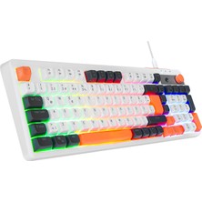 BAYÇAĞRI Acer Emachines EAK860 Beyaz USB Rainbow Aydınlatmalı Q Standart Kompakt Klavye