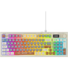 BAYÇAĞRI Everest Kb-79 Sılent Pro Gri Mavi/gri/kahve Sessiz Rgb Q Membrane Oyuncu Klavyesi
