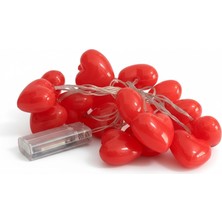 Bohem Kutusu Kalpli LED Işık   210 cm ( kutu içinde pil yoktur )