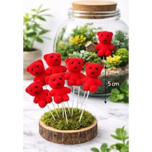  kırmızı saplı ayıcık  teraryum sukulent diorama minyatür sahne dekoru