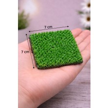  kare çim  teraryum sukulent diorama minyatür sahne dekoru