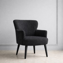 Kayser Home Welsoft Yumuşak Kumaş Modern Berjer Tekli Koltuk | Demonte | Ahşap Siyah Ayaklı | Antrasit