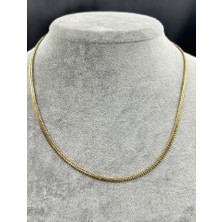 Birtakıı Gold Renk Çelik Kolye