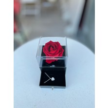 Nimetin Düşleri Güllü Takı Kutusu