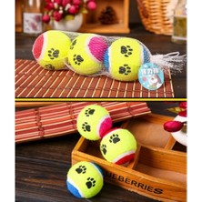 Practika At Getir Köpek Eğitim Topu