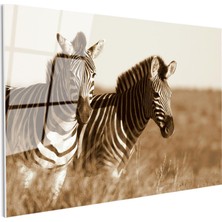 Tablofest Tamperli Gerçek Cam Tablo Kuru Otlar Arasında Iki Zebra Zebra Tablosu Duvar Dekoru