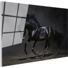 Tablofest Tamperli Gerçek Cam Tablo Kaslı Siyah Aygır At Tablosu Duvar Dekoru