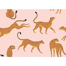 SHC4200 Roommates RMK11984RL Pembe ve Turuncu Çita Çita Peel And Stick Duvar Kağıdı, Rulo