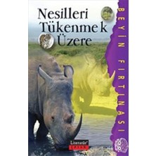 Girişimci Kadın Nesilleri Tükenmek Üzere / Beyin Fırtınası