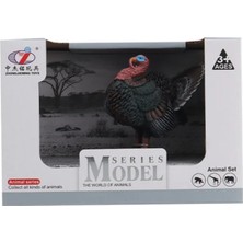 bebekokusu Kutulu Model Hindi