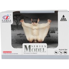 bebekokusu Kutulu Model Figür Hayvan Uçan Sincap