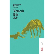 Girişimci Kadın Yaralı Bir At