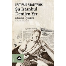 Girişimci Kadın Şu Istanbul Denilen Yer