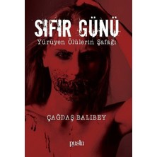 Puslu Yayıncılık Sıfır Günü