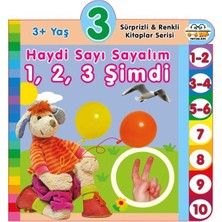 0-6 Yaş Yayınları Haydi Sayı Sayalım 1,2,3 Şimdi (3+Yaş)