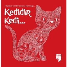 Edam Yayınları Kedidir Kedi...