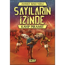 Acayip Kitaplar Kayıp Piramit - Sayıların Izinde