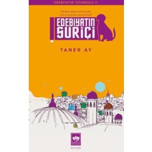 Ötüken Neşriyat Edebiyatın Suriçi