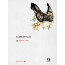 Pikaresk Yayınevi Göl Yazması