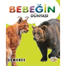 0-6 Yaş Yayınları Bebeğin Dünyası Ormanda
