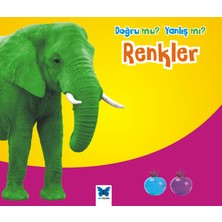 Mavi Kelebek Yayınları Renkler / Doğru Mu Yanlış Mı?