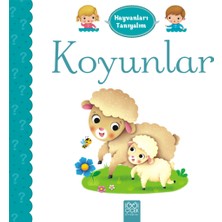 1001 Çiçek Kitaplar Hayvanları Tanıyalım  - Koyunlar