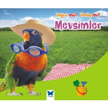 Mavi Kelebek Yayınları Mevsimler / Doğru Mu Yanlış Mı?