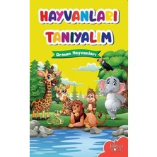 Baloncuk Kitap Muhteşem Çizimler ve Kolay Anlatım ile Hayvanları Tanıyalım Orman Hayvanları