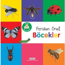 Yapı Kredi Yayınları Minik Kitaplarım – Böcekler