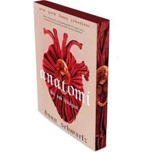 İndigo Kitap Anatomi - Bir Aşk Hikayesi
