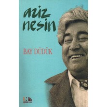Nesin Yayınları Bay Düdük