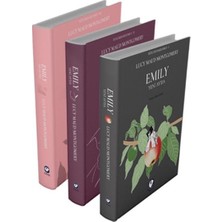 Cem Yayınevi Rüzgârın Kızı Emily Serisi (3 Kitap)