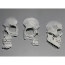 Atölye Matris 3'lü Kafatası Duvar Dekorasyonu Biblo Dekoratif Obje 3D Baskı Pla Plastik 20 22 cm Yükseklik