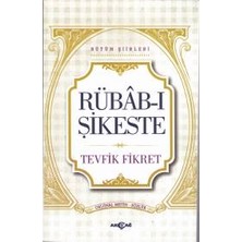 Akçağ Yayınları Rübab-I Şikeste