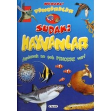 Çiçek Yayıncılık Meraklı Pencereler Sudaki Hayvanlar