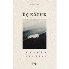 Profil Kitap Üç Köpük