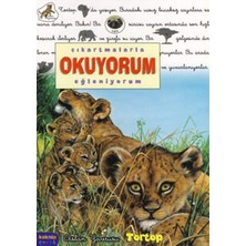 Kaknüs Yayınları Tortop / Çıkartmalarla Okuyorum Eğleniyorum