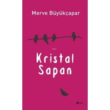 Şule Yayınları Kristal Sapan